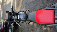 Black Bajaj Pulsar 220 DTSi