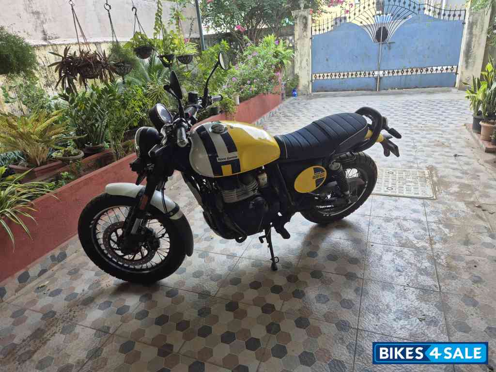 Yellow & White Royal Enfield Bear 650