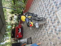 Yellow & White Royal Enfield Bear 650