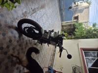 Yellow & White Royal Enfield Bear 650