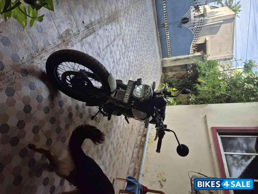 Yellow & White Royal Enfield Bear 650