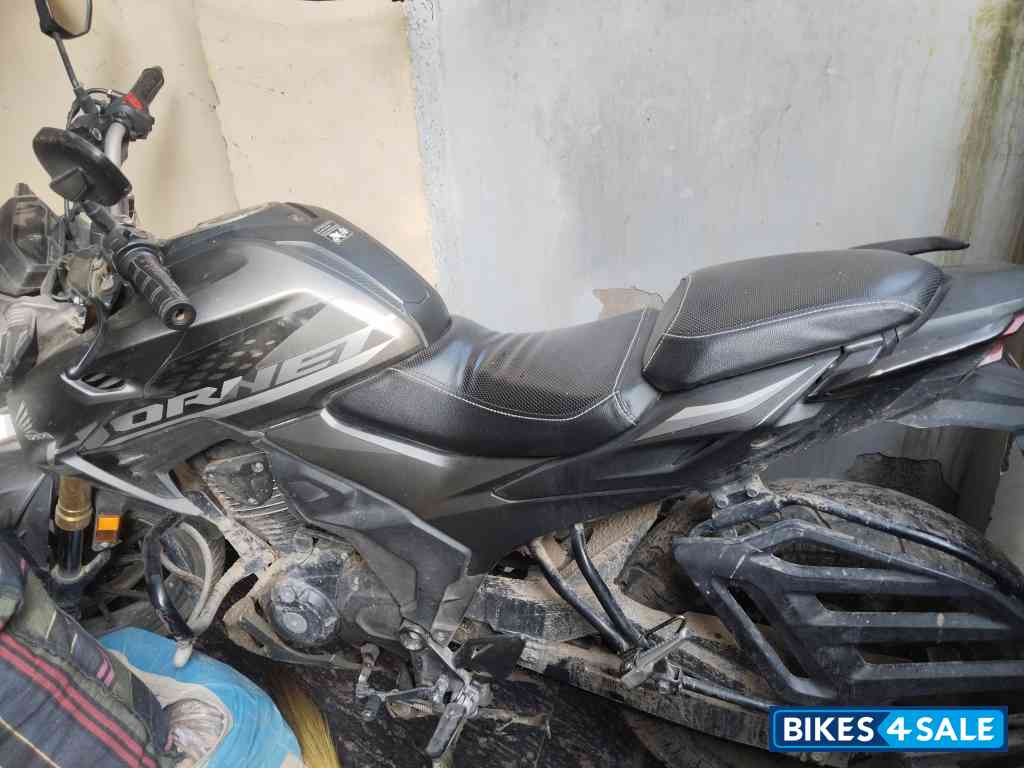 Gray Honda Hornet 2.0