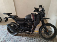 Mambo Black Yezdi Adventure Single Headlight