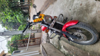 Wine Red Bajaj Avenger 220 DTS-i