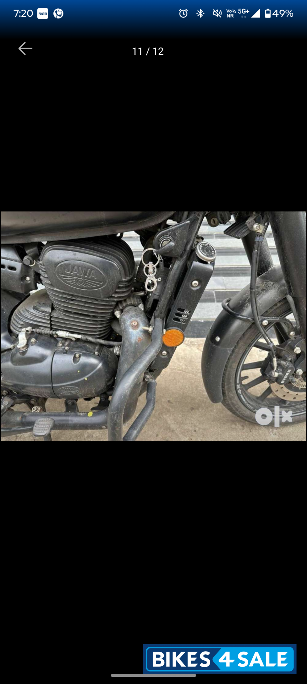 Black Jawa forty two