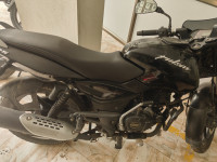 Bajaj Pulsar 125 2019 Model