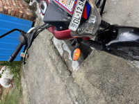 Red And Black Bajaj V12