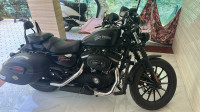 Harley Davidson Iron 883