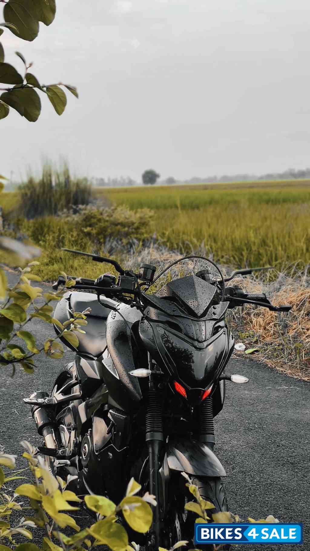 Bajaj Pulsar NS 160