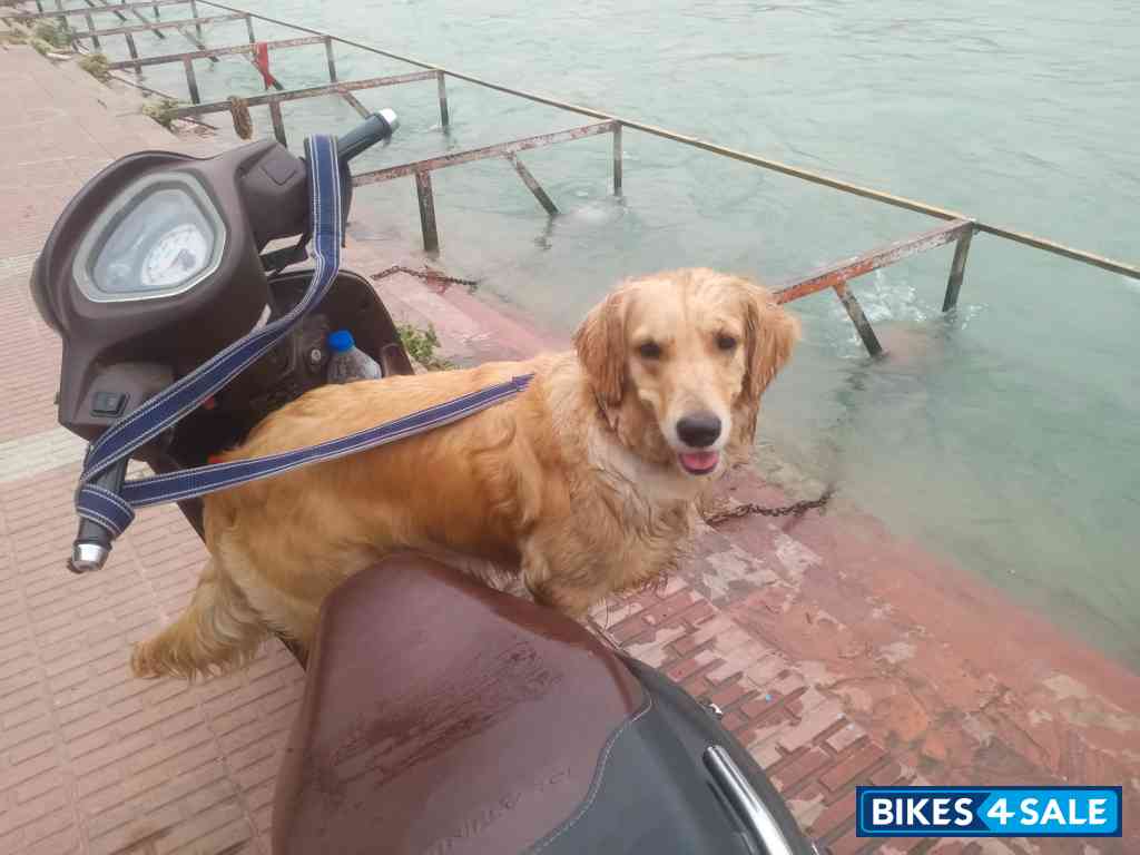 Mate Black Hero Pleasure Plus Platinum