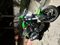 Green Bajaj Dominar 400 ABS BS6