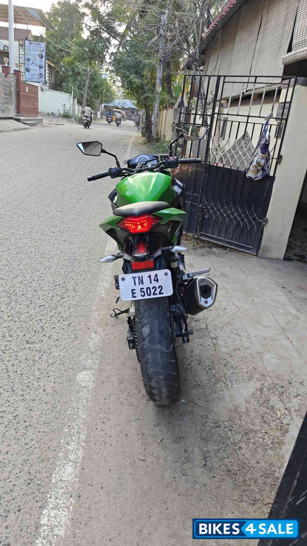 Kawasaki Green Kawasaki Z250