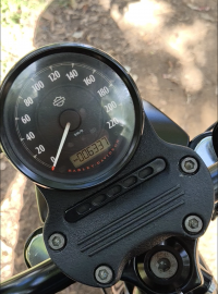 Black Harley Davidson Iron 883