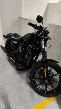 Black Harley Davidson Iron 883