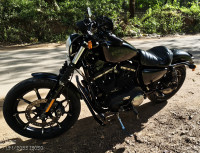 Black Harley Davidson Iron 883