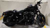 Black Harley Davidson Iron 883