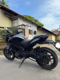 Charcoal Black Bajaj Dominar 250