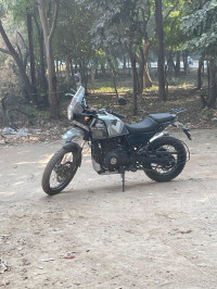 Sleet Royal Enfield Himalayan Sleet