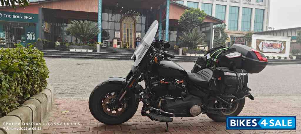 Vivid Black Harley Davidson Fat Bob