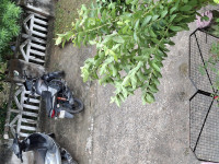 Honda CB Shine SP 2016 Model