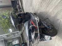 Black Joy e-bike  Wolf