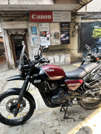 Yezdi Adventure Matte 2024