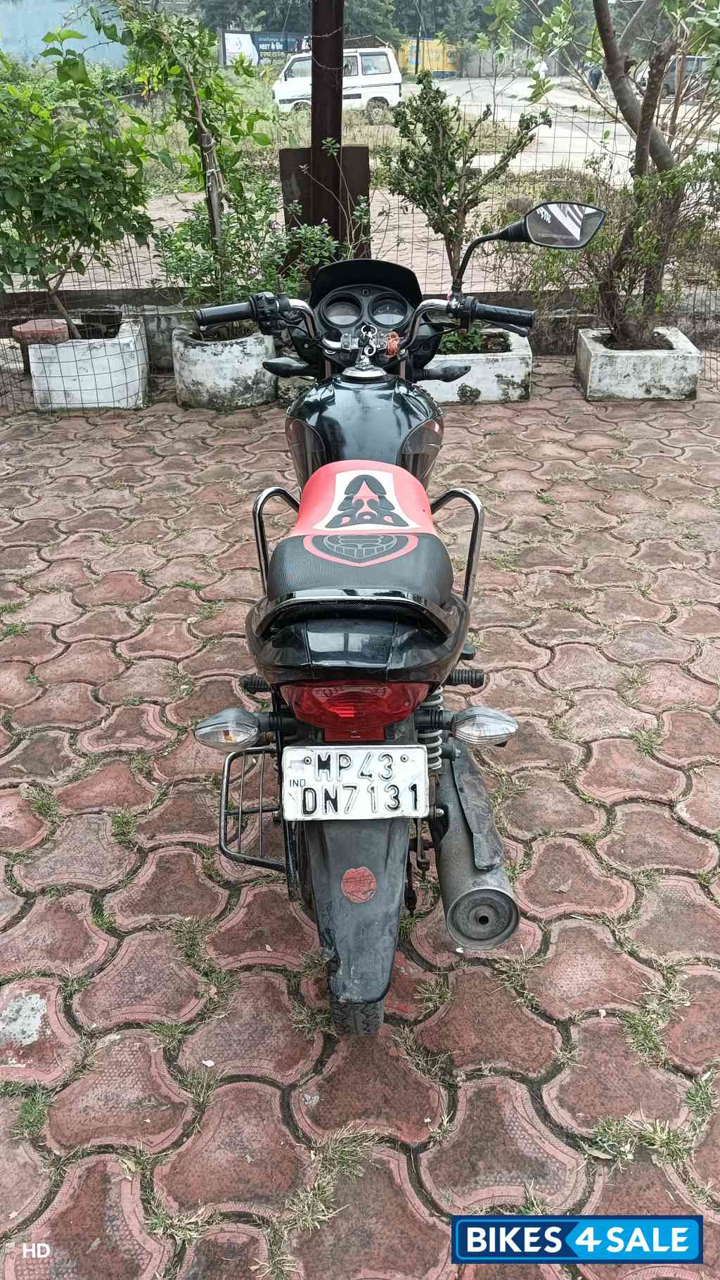 Black And Red Honda CB Shine