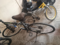 Bicycle Schnell 2022 Model