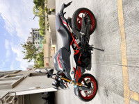 Limestone Metallic BMW G 310 R