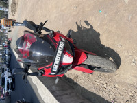TVS Apache RR 310