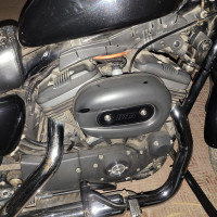 Black Harley Davidson Iron 883