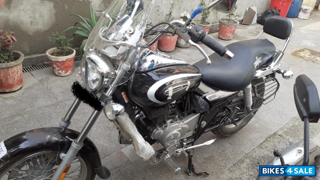 Auburn Black Bajaj Avenger Cruise 220 BS6