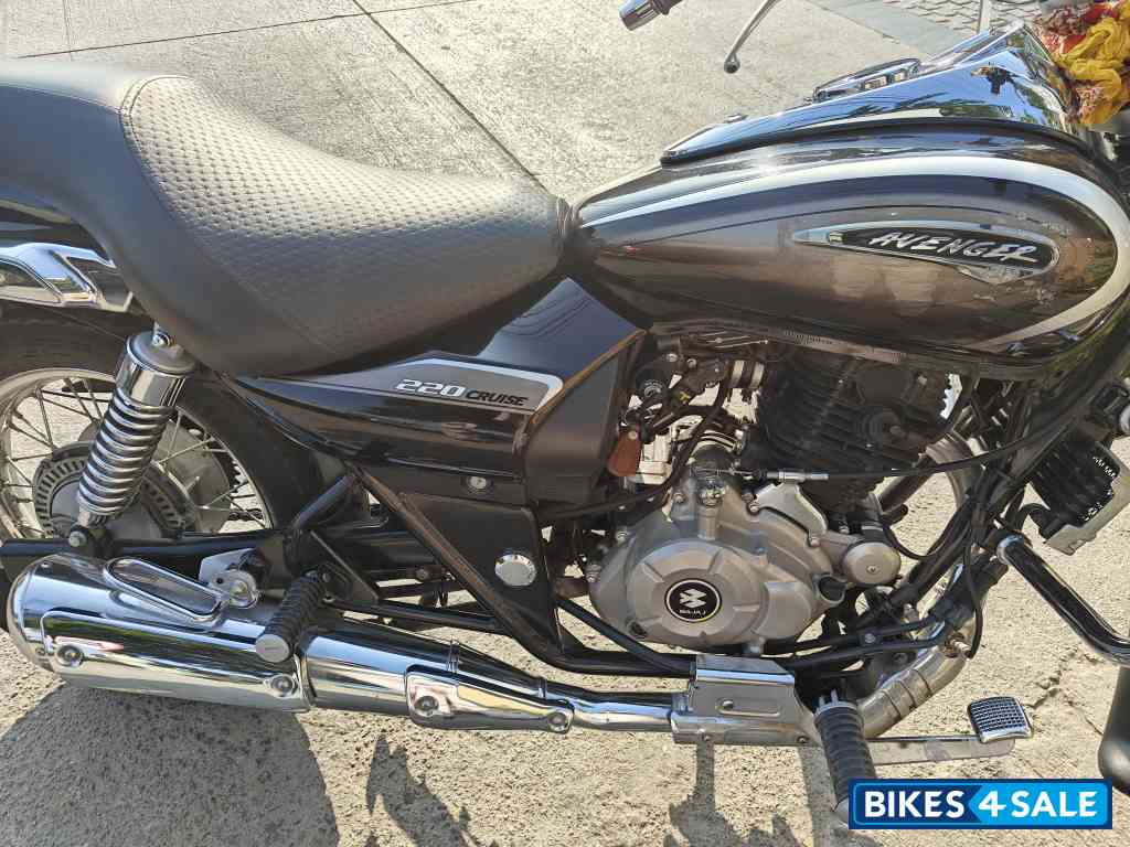 Ug Auburn Black Bajaj Avenger Cruise 220 BS6 Ug Auburn Black Bajaj Avenger Cruise 220 BS6