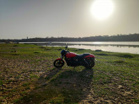 Harley Davidson Street 750