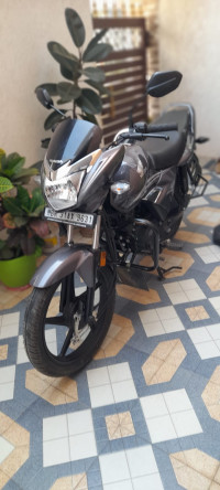 Honda Shine 125 Drum