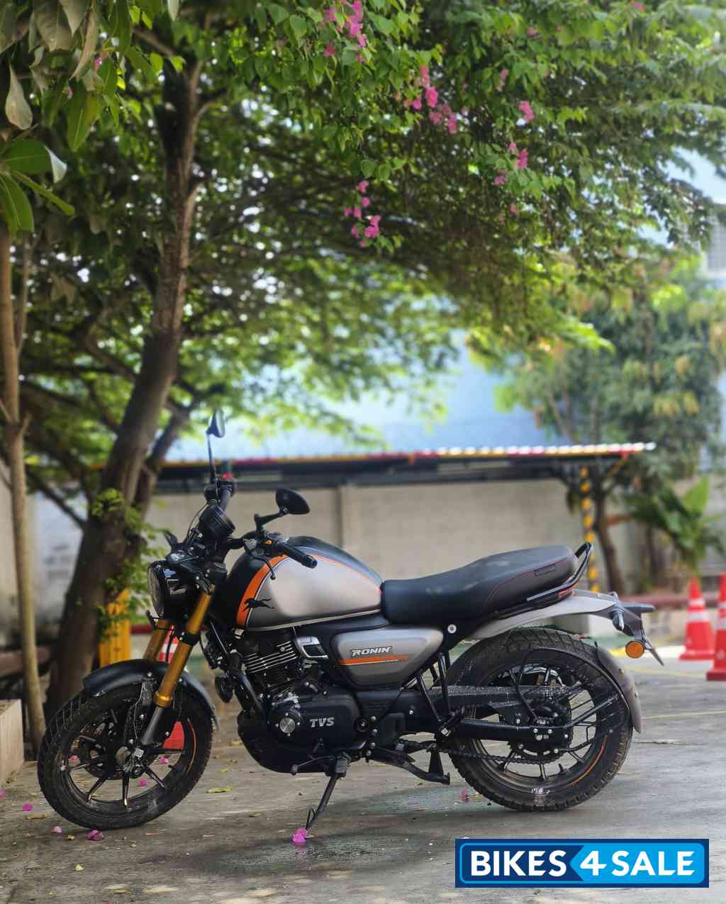 Charcoal Ember TVS Ronin DS 2025