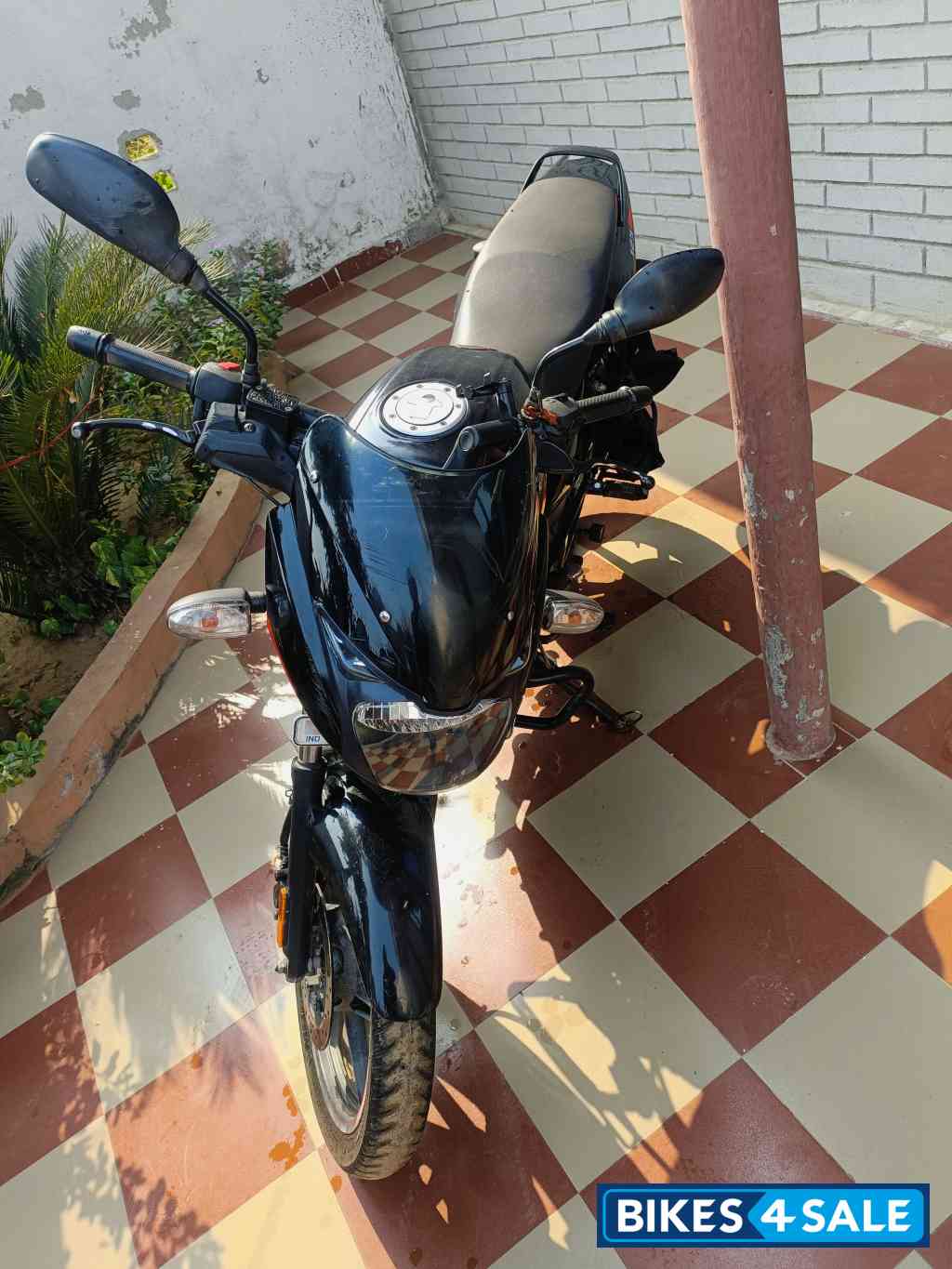 Black Bajaj Pulsar 125 Neon Disc Single Seat