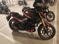Maron Matt Honda Hornet 2.0