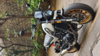 Benelli Leoncino 500 BS6
