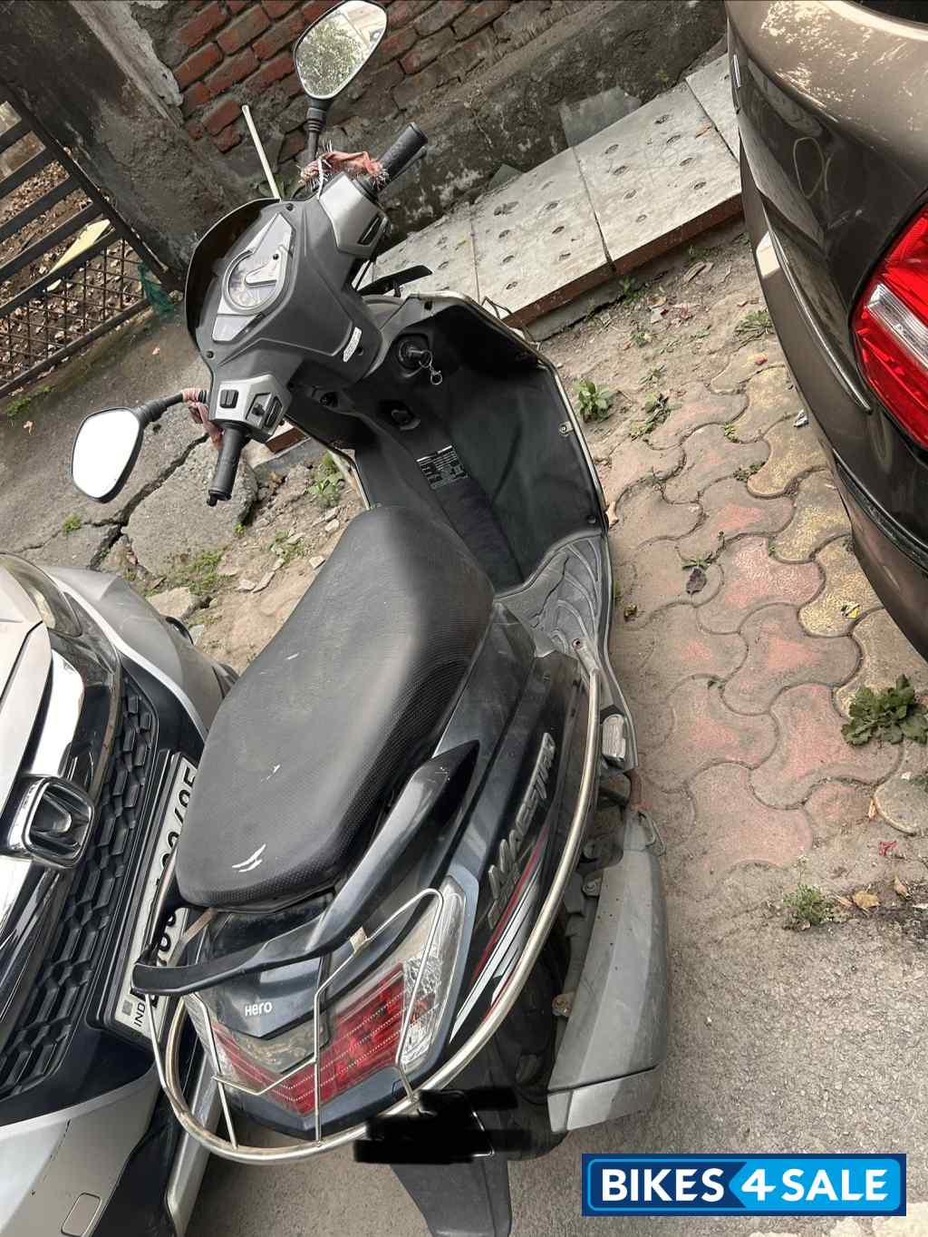 Mehendi Green Hero Maestro Edge