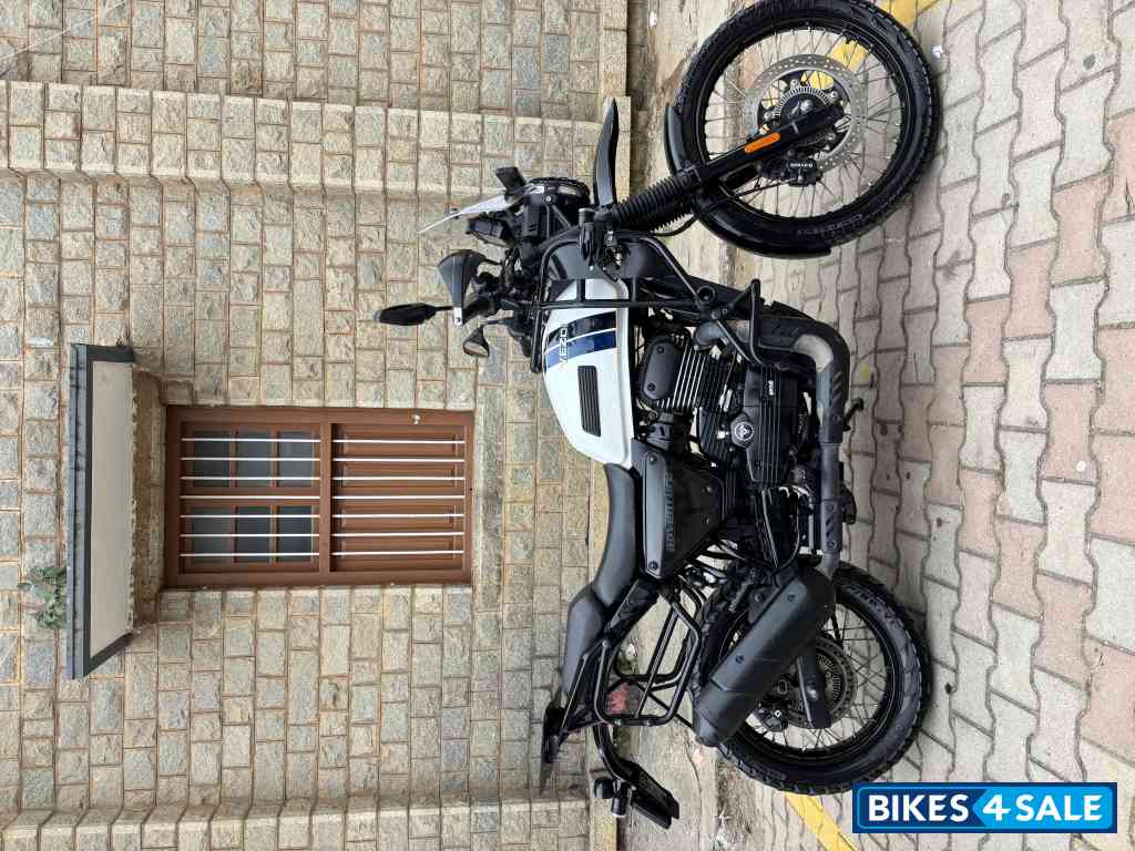 Whiteout Yezdi Adventure Gloss 2024