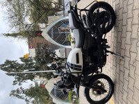 Whiteout Yezdi Adventure Gloss 2024