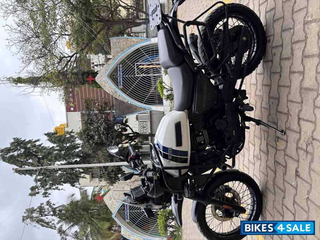 Whiteout Yezdi Adventure Gloss 2024