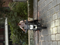 Bajaj Dominar 400 2025