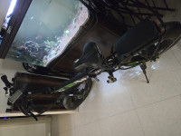 EMotorad Doodle Green 2023 Model