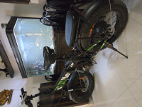 Green EMotorad Doodle Green