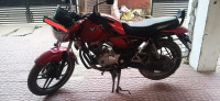 Bajaj V15