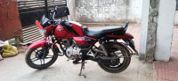 Bajaj V15