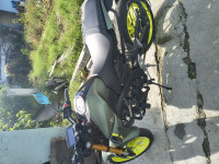 Dark Grey Leaf Green Yamaha MT-15 Ver 2.0