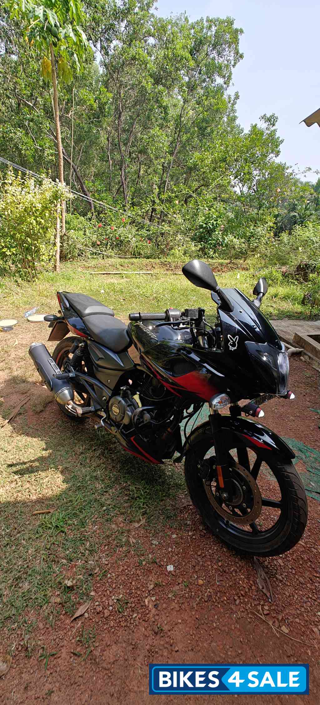 Red Bajaj Pulsar 220F BS6